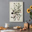 Pl 192 Great Cinereous Shrike - reproduction d'art sur toile tendue-916754972