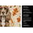Chocolate Cocker Spaniel Heirloom Fall Kitchen Towel-1218231275