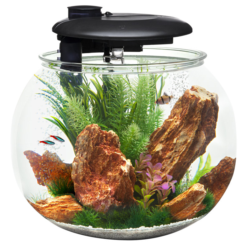 Grand aquarium Aquasphere 360 - 14 gallons, H 15,75 po x l 20,15 po x P 20,25 po (14 gallons)