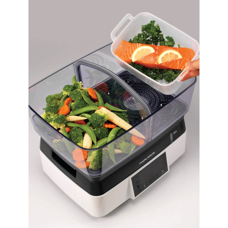 Compact Intellisteam Food Steamer