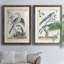 Pastel Birds V Premium encadré mat - prêt à être accroché-239544719-239544716