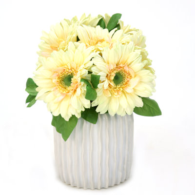 Arrangement floral Gerber Daisy en pot
