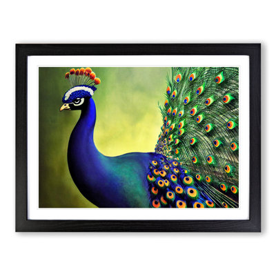 Fine Peacock - Single Picture Frame Print