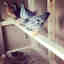 Customer photo 2 of 2