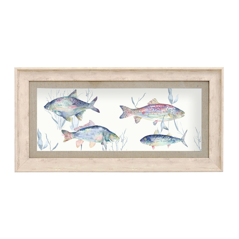 Ives Ives Water Abalone - Single Picture Frame Print