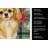 Gold Tibetan Spaniel Christmas PoinsettIas Kitchen Towel-2080583811