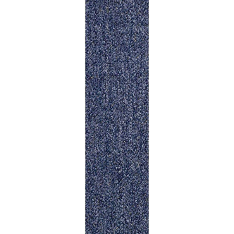 Tapis violet intérieur / extérieur Ne Wilson, Tapis de couloir 2 pi x 26 pi