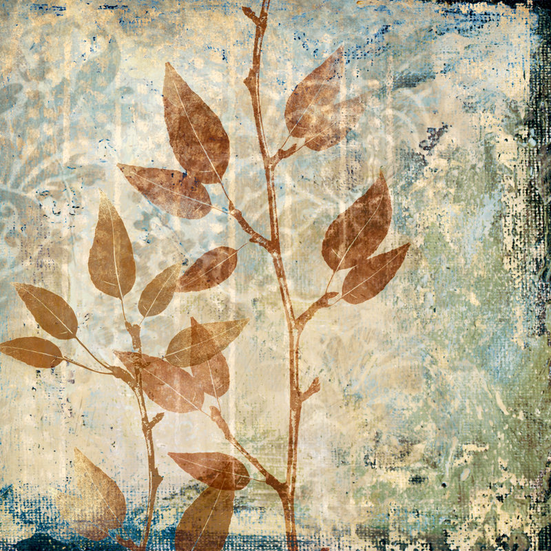 Natural Elements - Wrapped Canvas Print, 30cm H x 30cm W x 3.8cm D