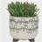 S/2 CERAMIC 6/8" SCRIBBLE FOOTED PLANTER, BEIGE