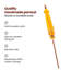 Parasol-239399377