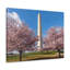 No Frame Print on Canvas-294065391