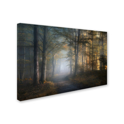 « automne symphony », reproduction de photo sur toile tendue