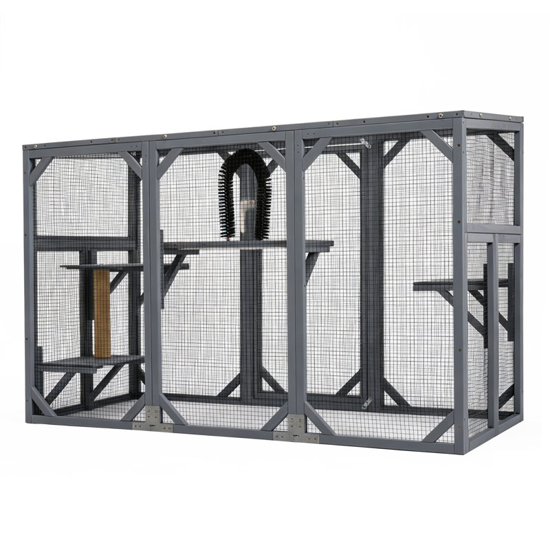 Cat Cage, Orange