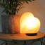 Gerard 5.95 lbs Salt Lamp