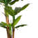 Artificial Banana Leaf Tree In A Square Beige Fiberstone Planter