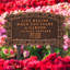 Zen Garden Lawn Plaque-865117899-865117936