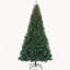 Sapin de Noël pré-illuminé de 2,74 m avec lumières DEL dynamiques RVB, télécommande et minuterie quotidienne