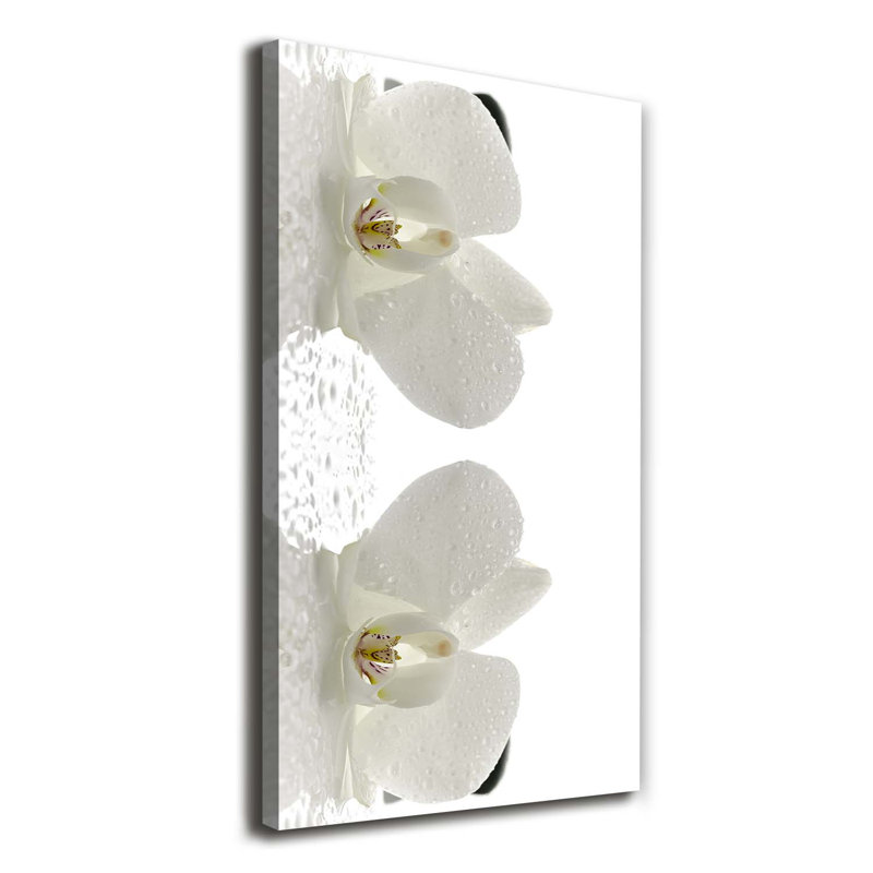 Orchid And Stones - Wrapped Canvas Print