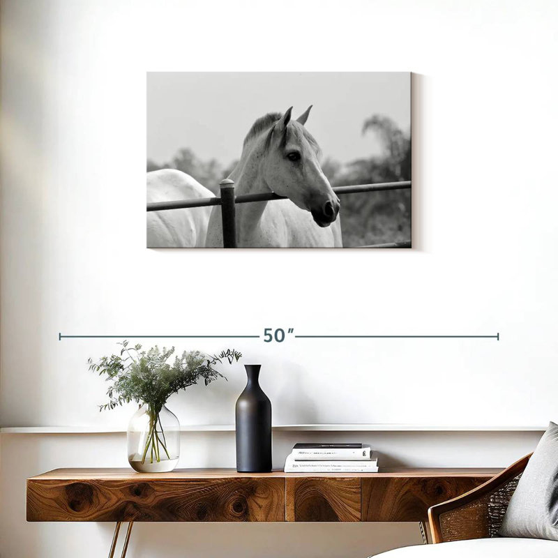 Cheval Brampt au-dessus d'une clôture en noir et blanc, H 20 po x l 30 po