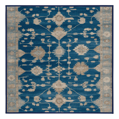 Tapis bleu lavé à la machine