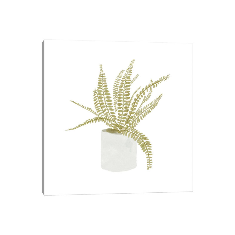 Potted Fern V 1 Piece Wrapped Canvas Wall Art, 45.72 cm H x 45.72 cm W x 1.91 cm D
