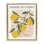 "Marche aux citrons", art mural encadré par Wild Apple