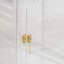Large Clear View Pet Crate with Gold Latch-1996038649
