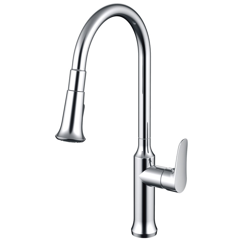 Daweier Pull Out Kitchen Faucet, Chrome