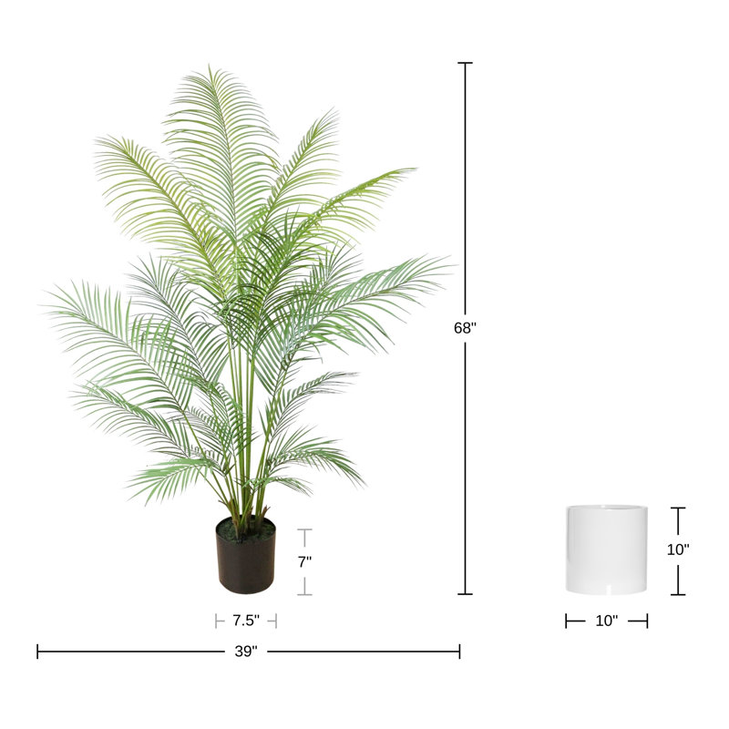 Brisbane 5.5' Outdoor UV Rated Kentia Palm Drop-In Trees with Fiberstone Pots