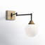 Hallas 1-Light Dimmable Swing Arm Sconce
