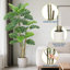 Plante artificielle 5 / 6FT Monstera avec pot en céramique, faux arbre tropical réaliste pour la décoration intérieure et extérieure-599857059