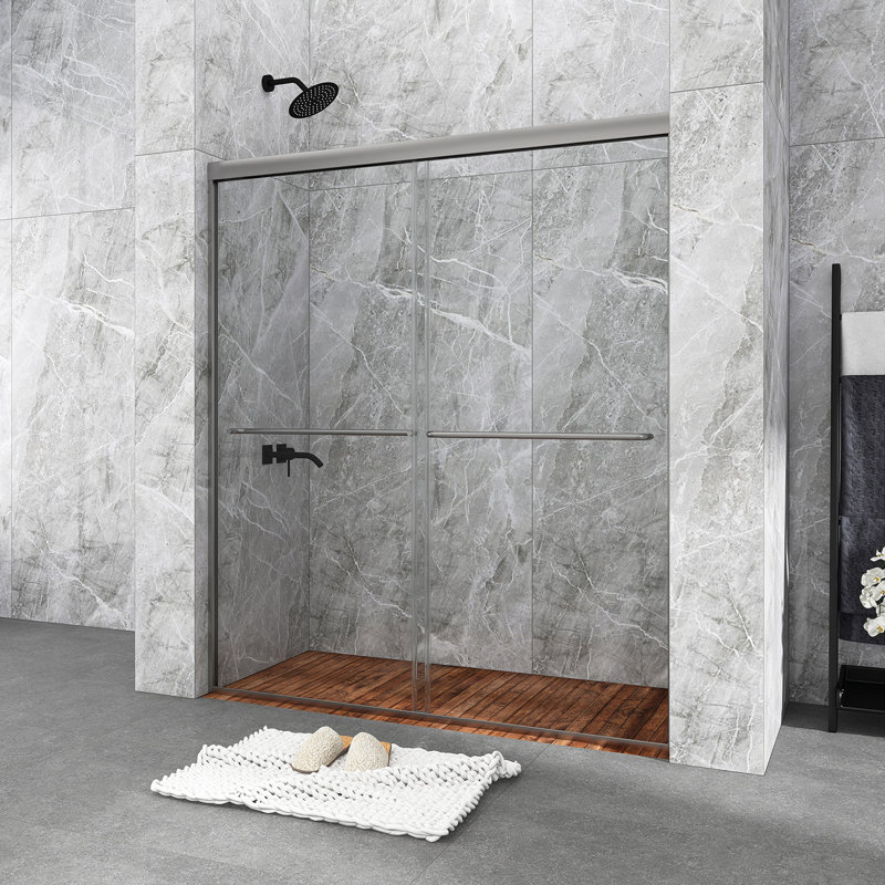 60 in. Chrome Framed Double Sliding Shower Door with Clear Glass