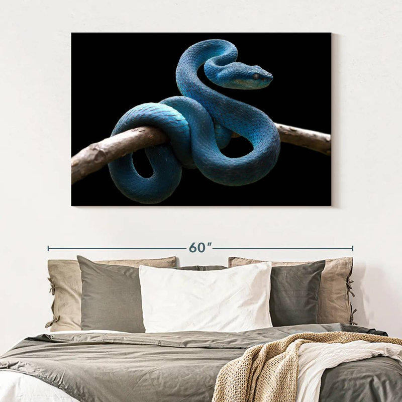 Brampt Blue Viper Snake, 34" H x 51" W