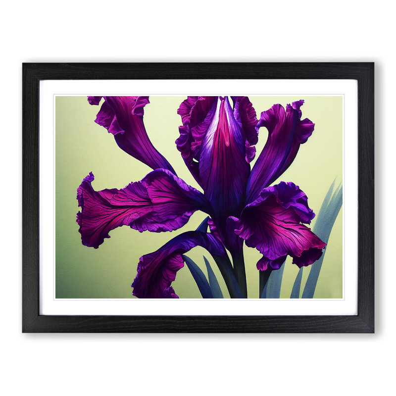 Classic Iris Flowers - Framed Print, 25cm H x 34cm W x 2cm D, Black