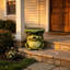 Statue de grenouille mignonne 12 po avec chapeau de feuille de lotus