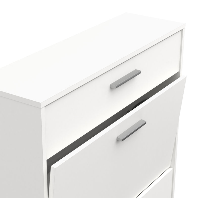 Barbaa 12 Pair Shoe Storage Cabinet