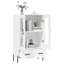 Storage Cabinet-104874341