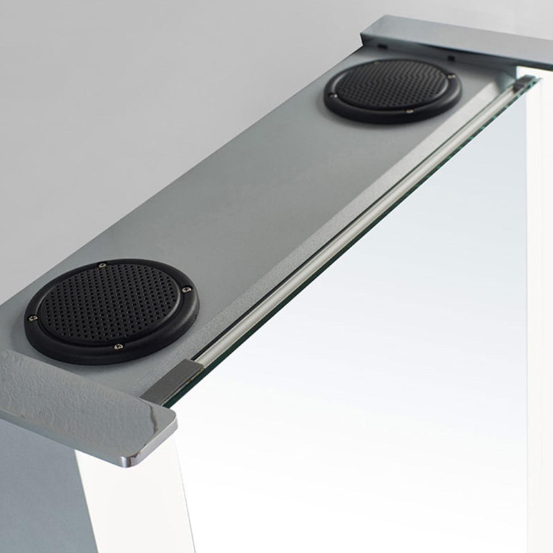 Neena 700mm W 700mm H Surface Frameless Medicine Cabinet Mirror 2 Fixed