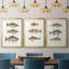 Espèces de poissons antiques I - Impression personnalisée de qualité supérieure avec cadre mat - 3 pièces-603805636-603805637