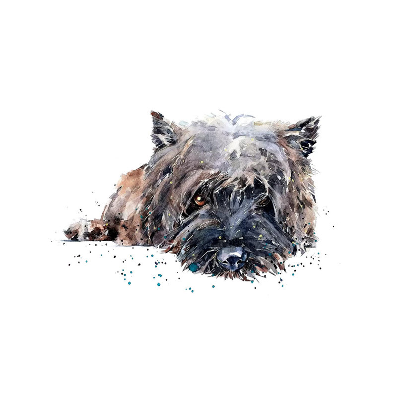 «Cairn Terrier II» par EdsWatercolours - impression, H 18 po x l 26 po x P 1,5 po, Toile tendue, Pas de tapis