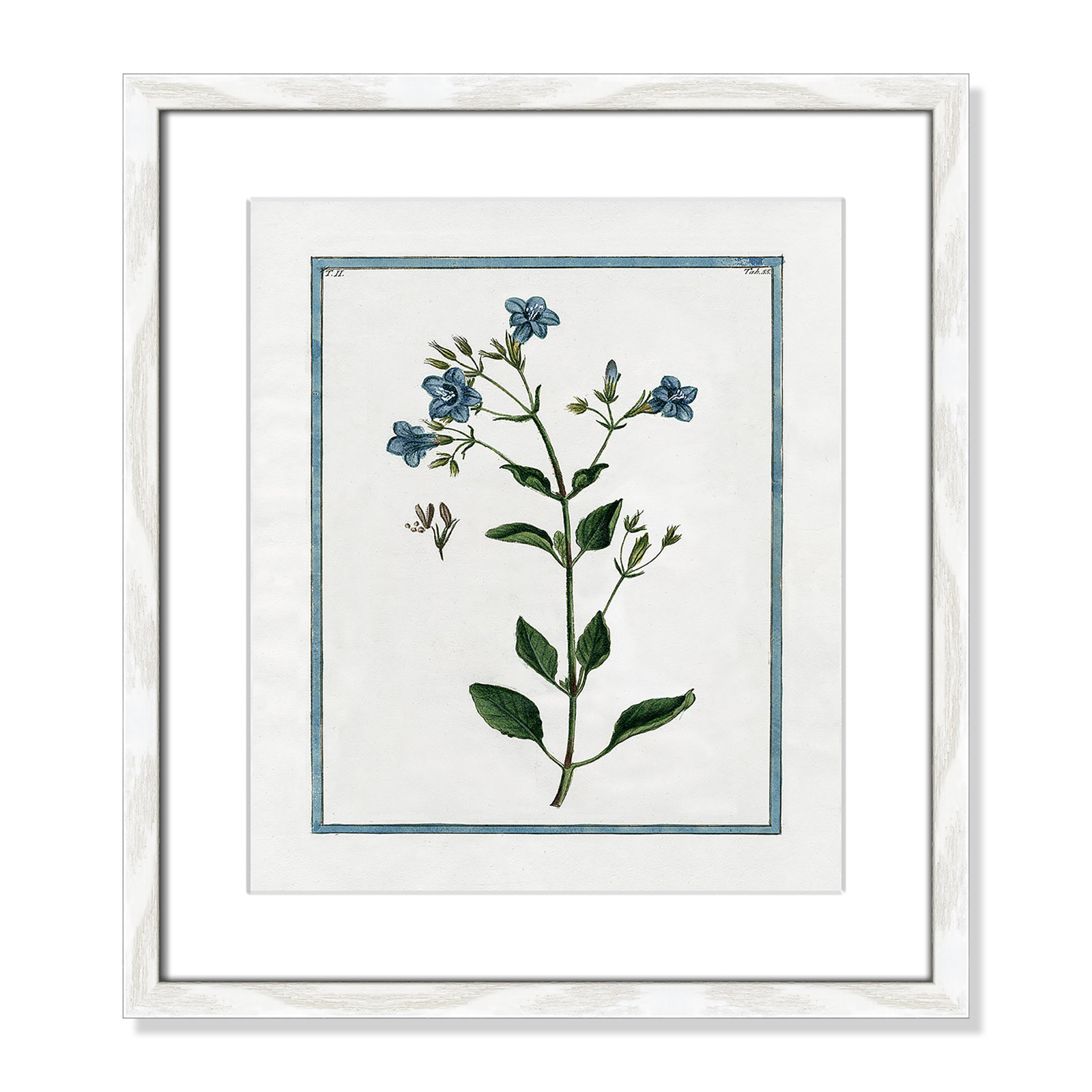 Shabby Elegance Botanical II - Framed Art, 13" W x 15" H, White Framed