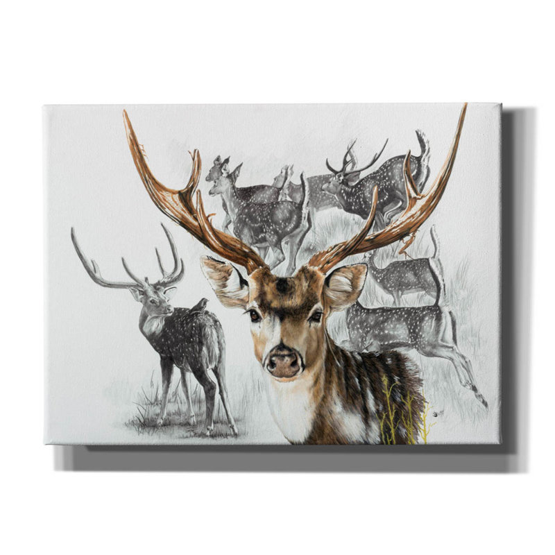 Axis Deer by Barbara Keith - Wrapped Canvas Print, 40" H x 54" W x 1.5" D