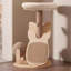 Structure d'escalade en bois massif 17,72 po
