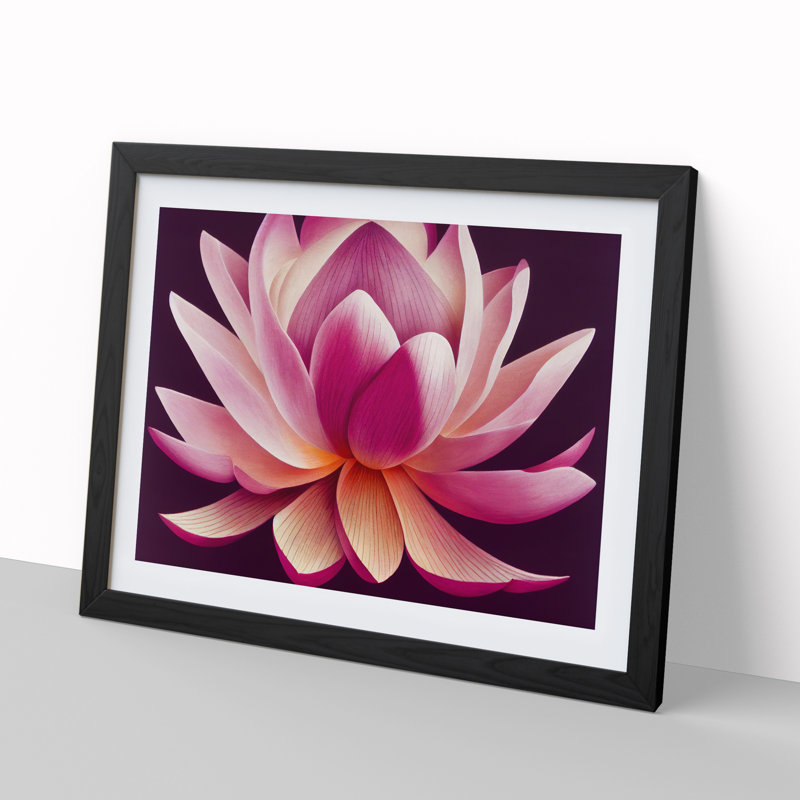 Beguiling Lotus Flower - Single Picture Frame Print, Black Frame, 46cm H x 64cm W x 2cm D