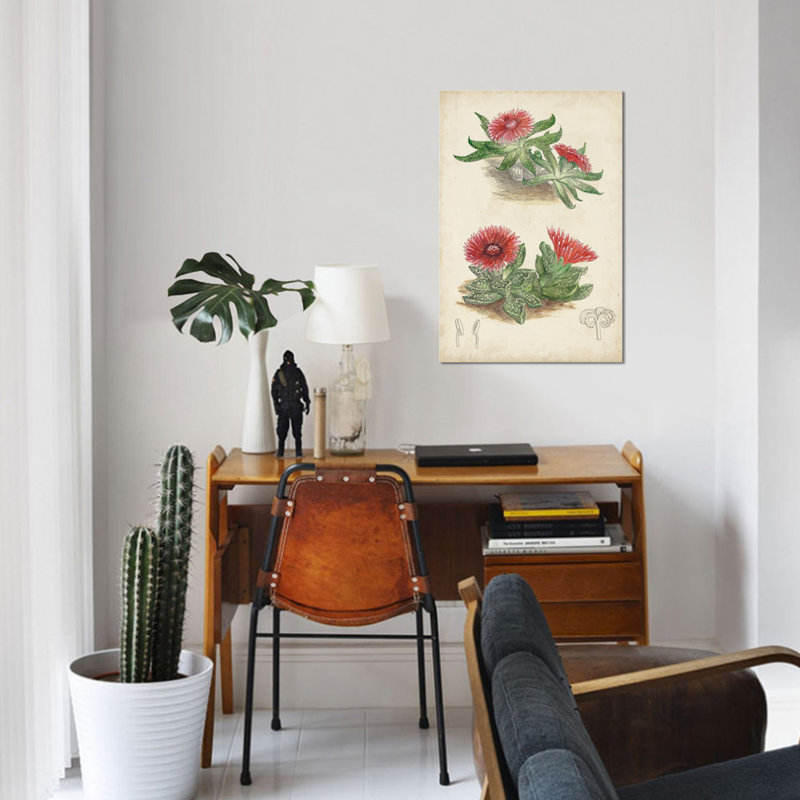 «Antique Cactus V», reproduction sur toile tendue, H 12 po x l 8 po x P 0,75 po, Toile tendue, Pas de tapis