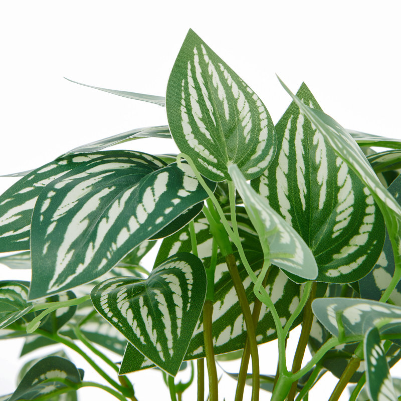 Elements Artificial Stripped Pothos Plant, 9 Inch