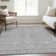 Premium Machine Washable Prisco Gray Rug