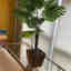 Photos des clients 1 de 1