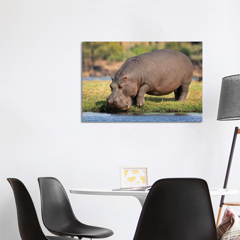 Hippopotamus Botswana 1 Piece Wrapped Canvas Wall Art, 101.6 cm H x 66.04 cm W x 1.91 cm D
