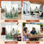 4 panneaux de paravent pliant Royal Misty Pine Forest Landscape-299593979-299593978